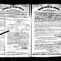 Timmner Christian Einbuergerung USA 1911