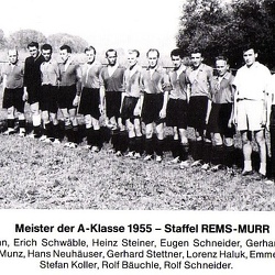 Meisterschaftsjahr 1955