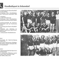 Sport in Schorndorf Handballsport in Schhorndorf Seite 28