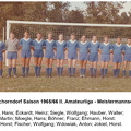 VfL Schorndorf Saison 1965 66 Meistermannschaft Foto alle stehend