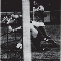Vfl Schorndorf Saison 1981 82 3. Spieltag 15.08.1981 VfL Schorndorf VfR Murrhardt Szenenfoto Wolfgang Hammel